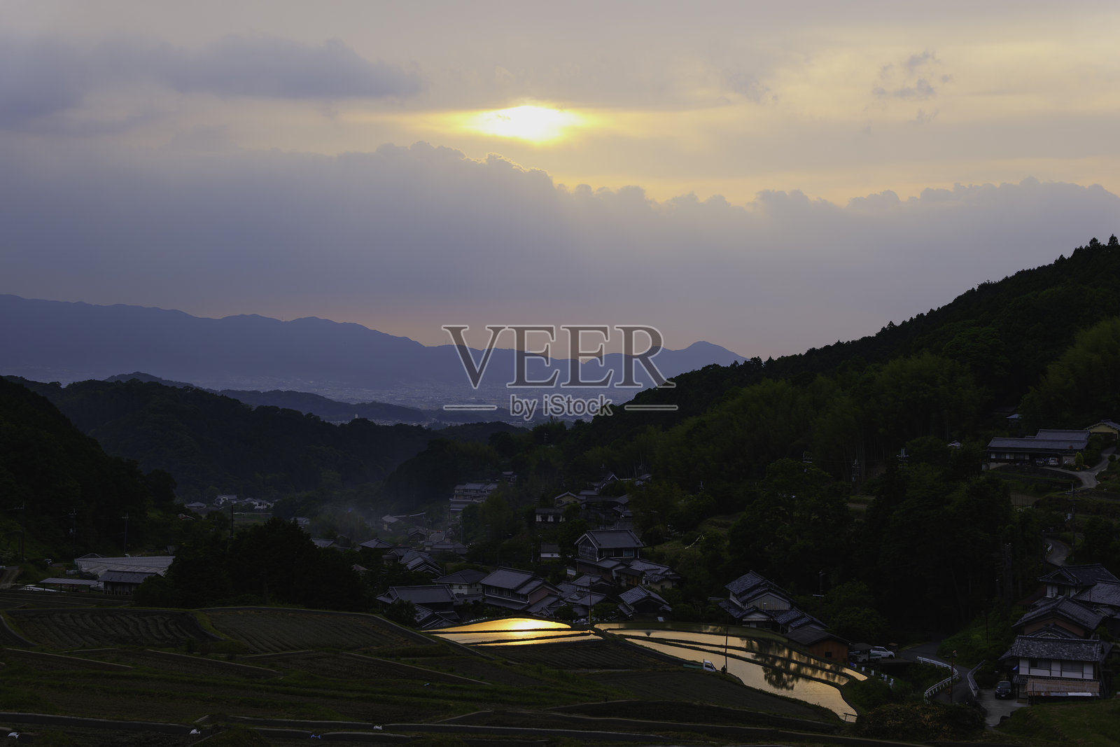 稻田梯田和稻苗在明亮的红色日落下被照亮照片摄影图片