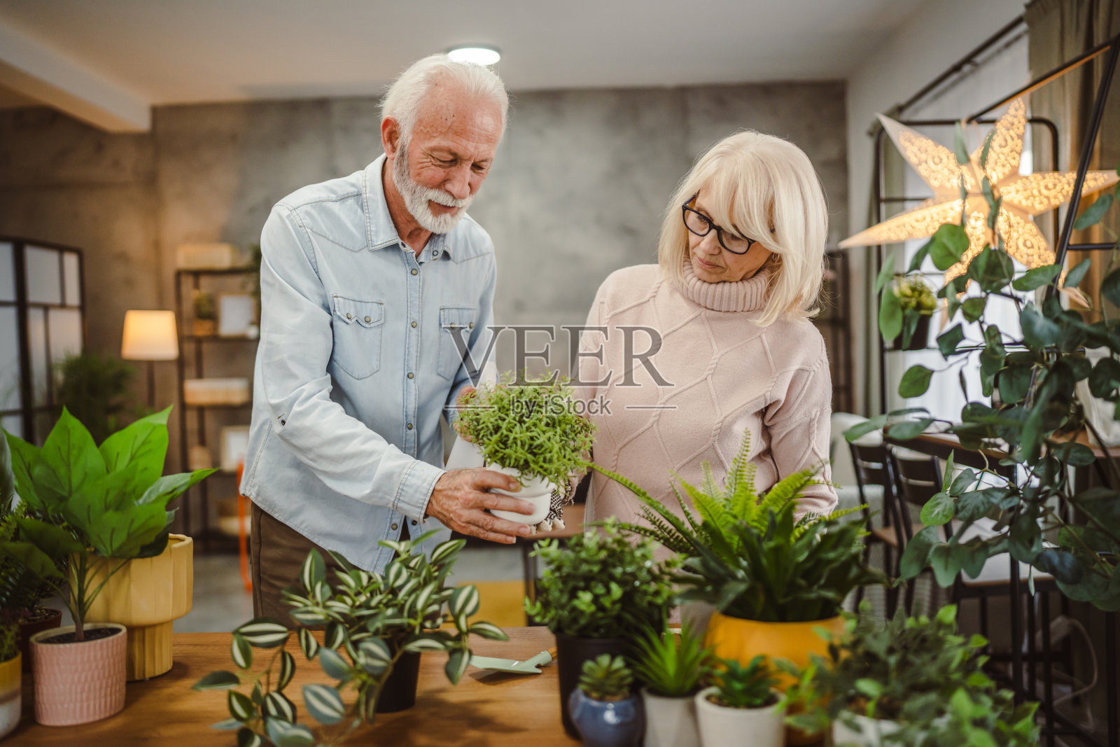 夫妻一起种花,照顾家里的植物照片摄影图片