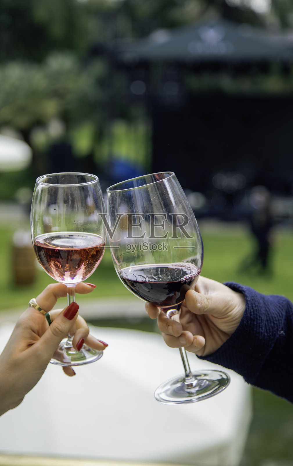 在风景如画的花园环境中举杯畅饮红酒和桃红酒照片摄影图片