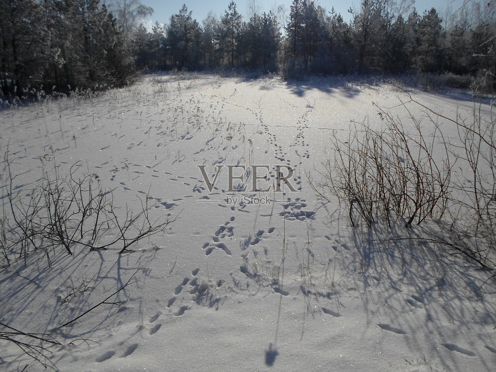 美丽的冬季自然景观照片摄影图片