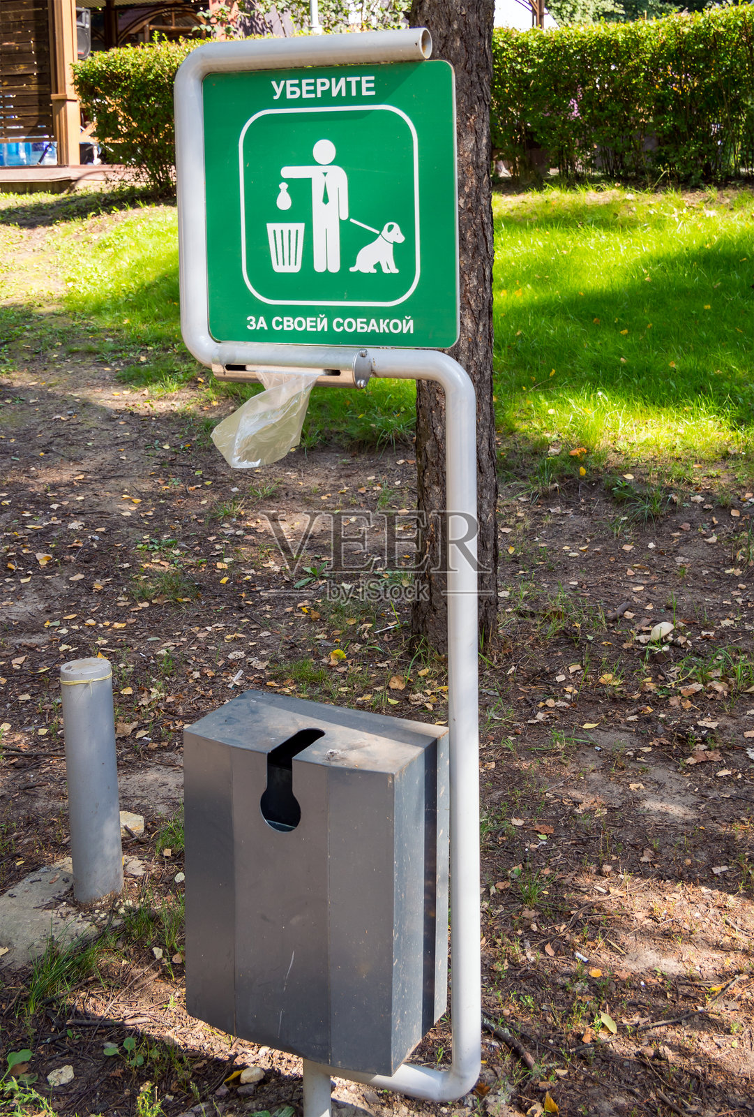带有垃圾桶和清理动物用袋子的分配器。照片摄影图片