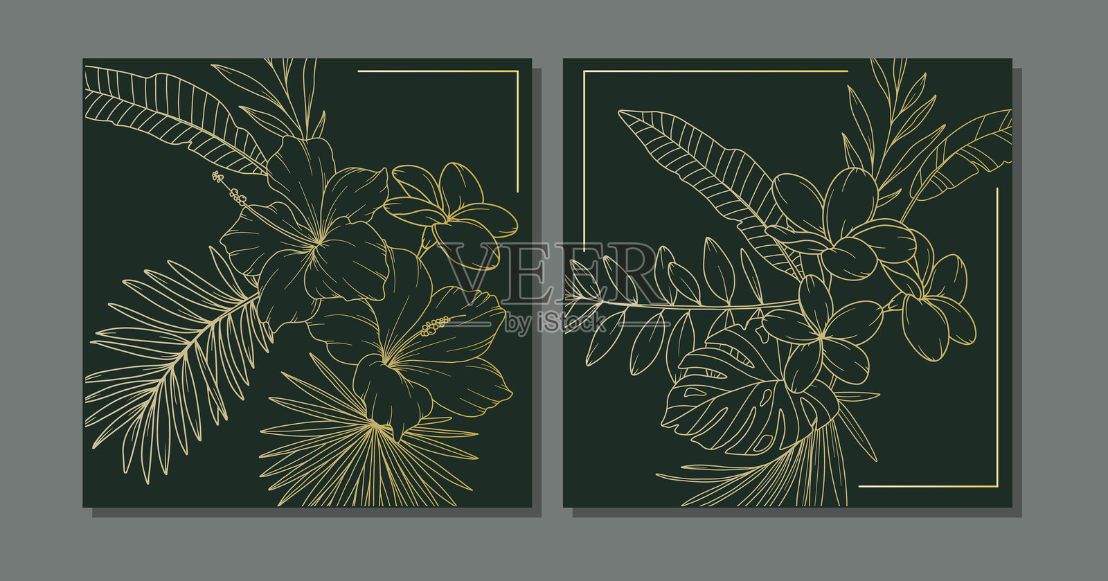 热带花卉轮廓。热带植物线条艺术。带有时尚简约热带植物和花卉的植物背景。奢华花卉线条艺术插图。插画图片素材