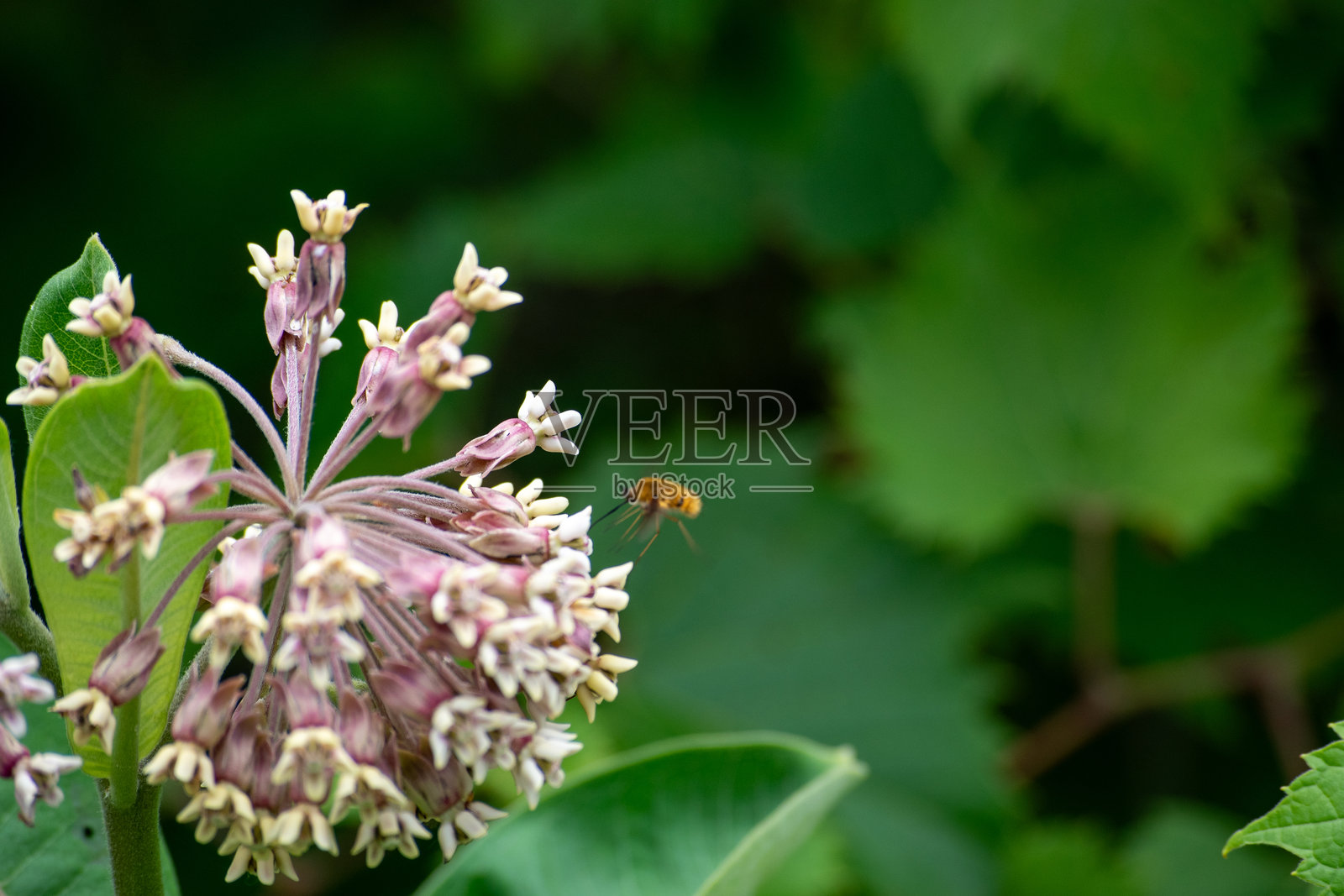 起落架已放下照片摄影图片