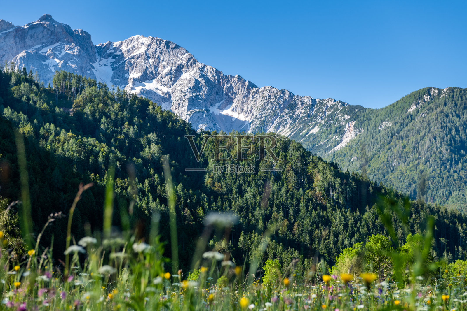斯洛文尼亚洛加尔谷的阿尔卑斯山夏季风光照片摄影图片