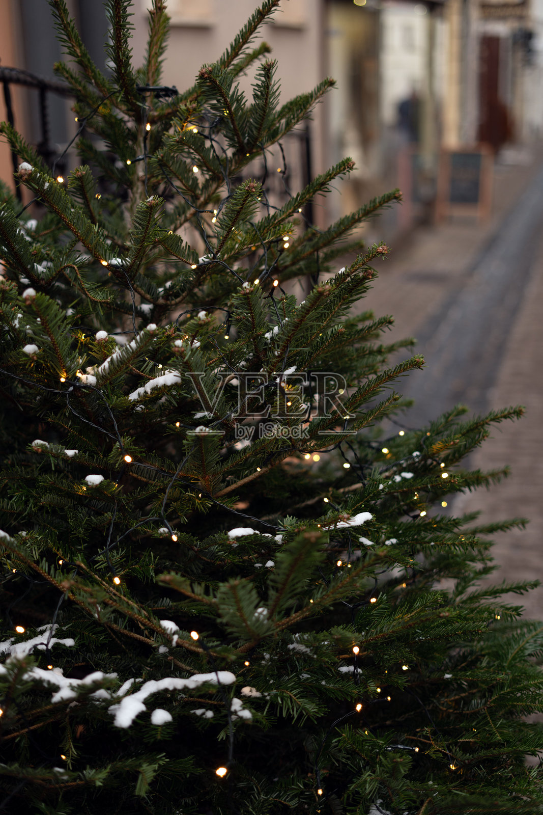 美丽装饰的冷杉树在迷人的户外节日环境中闪烁着灯光,捕捉了节日冬季庆祝活动和季节快乐的精髓照片摄影图片