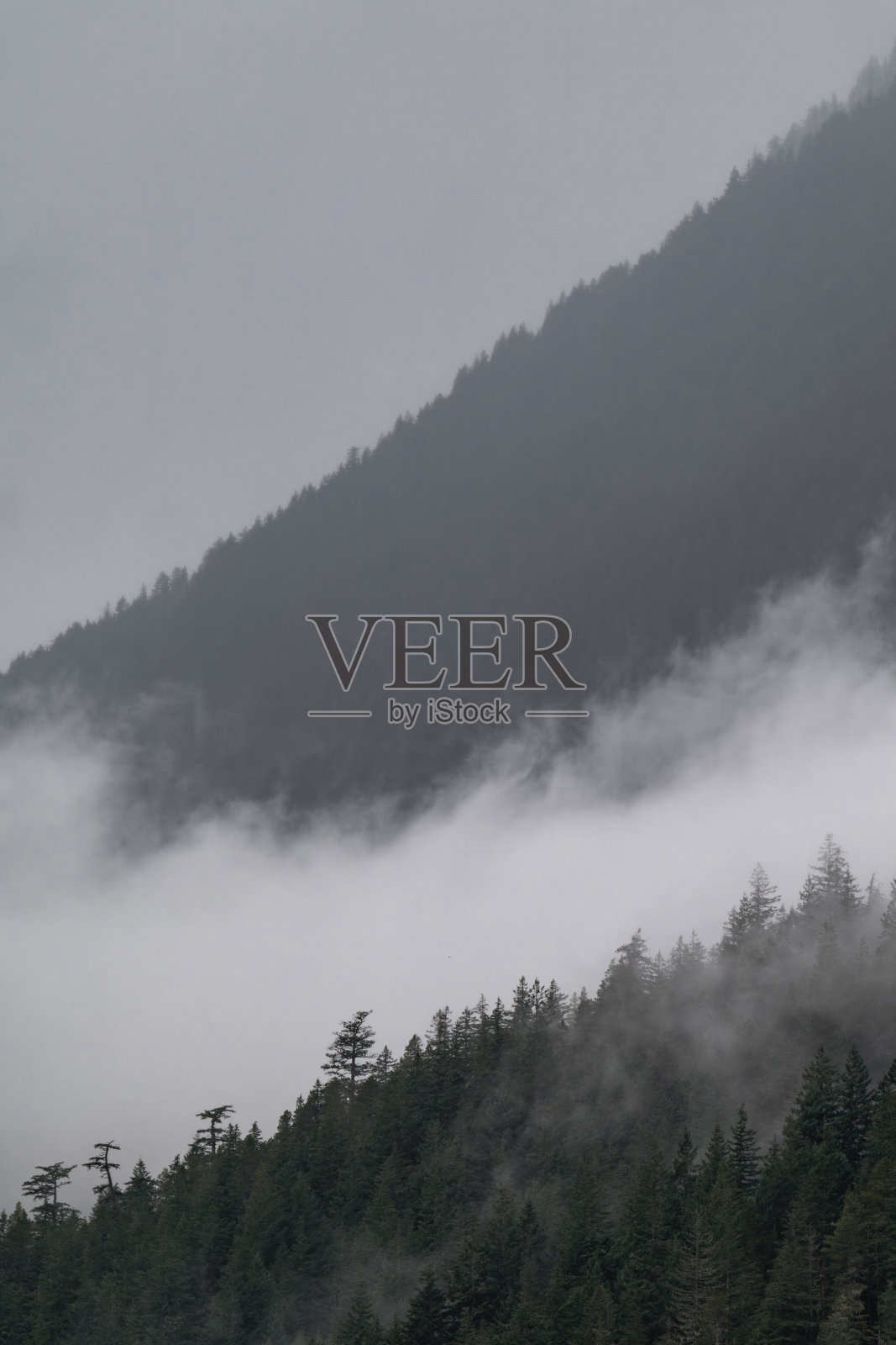 加拿大不列颠哥伦比亚省的山中雾气弥漫的阴郁风景照片摄影图片