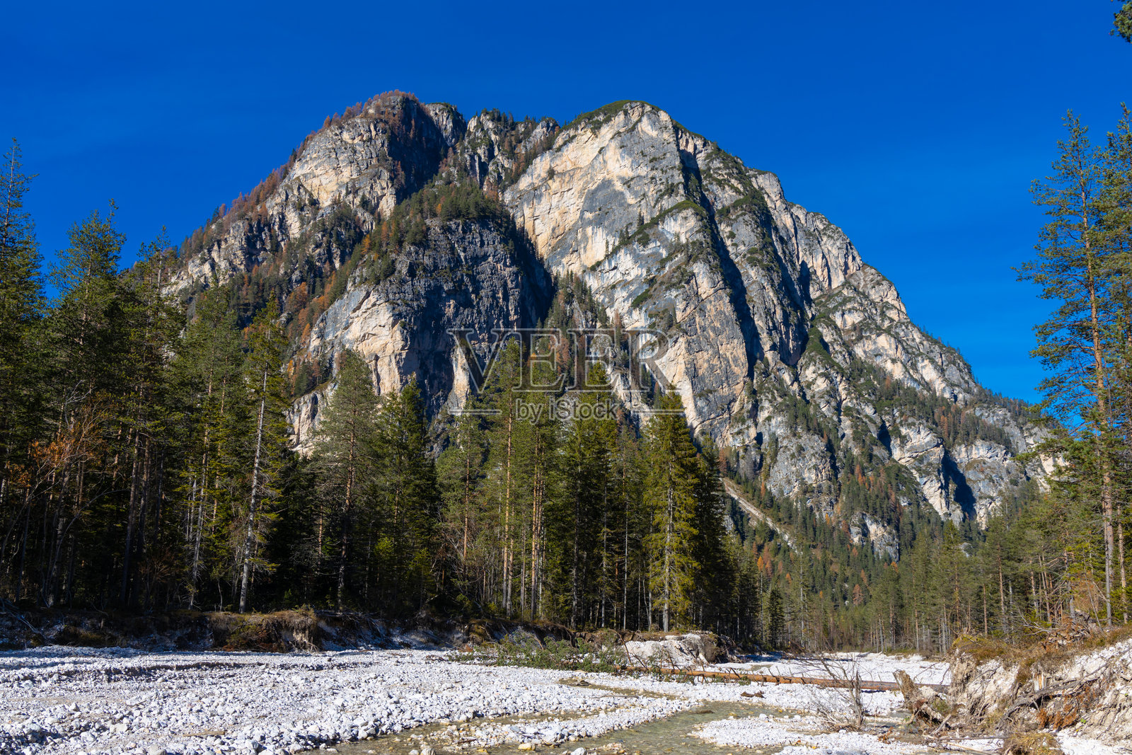 秋天色彩的阿尔卑斯山。多洛米蒂美丽的黄色树叶秋季风景。照片摄影图片
