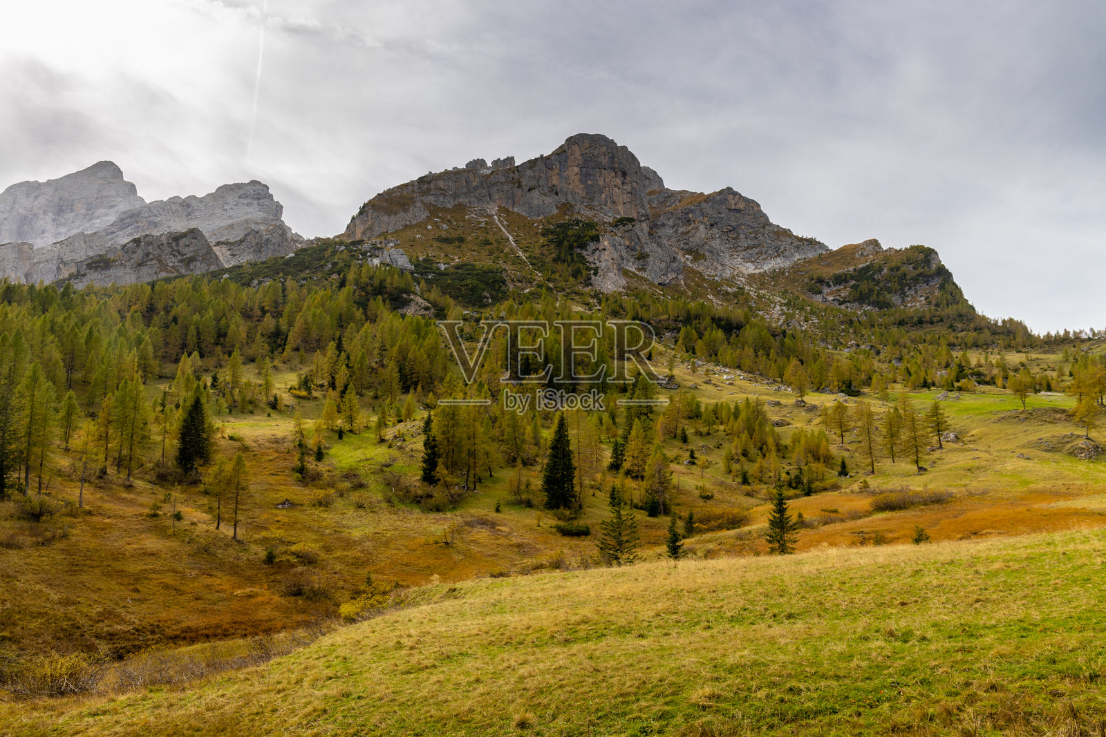 秋天色彩的阿尔卑斯山。多洛米蒂美丽的黄色树叶秋季风景。照片摄影图片