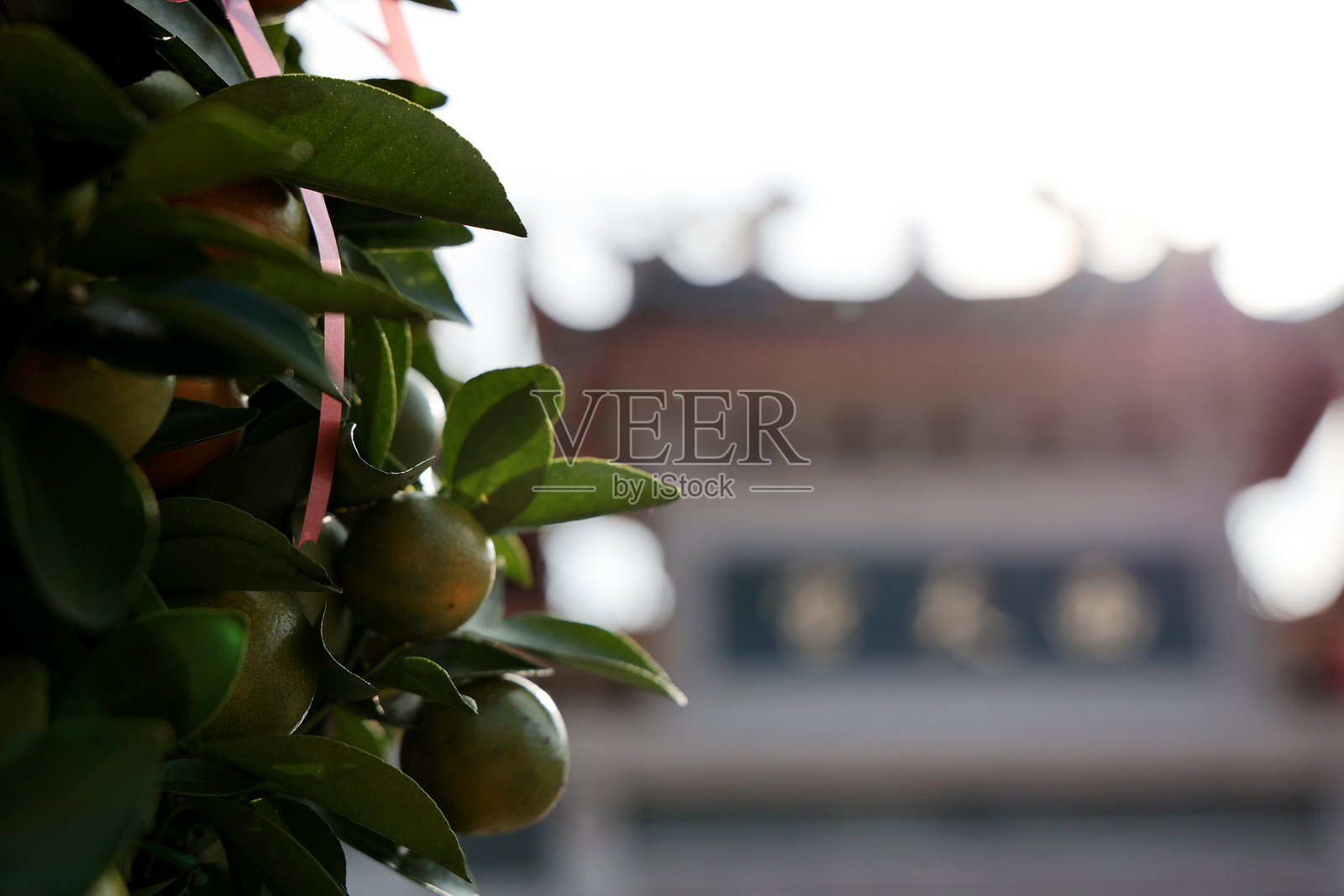 春节庆祝活动照片摄影图片