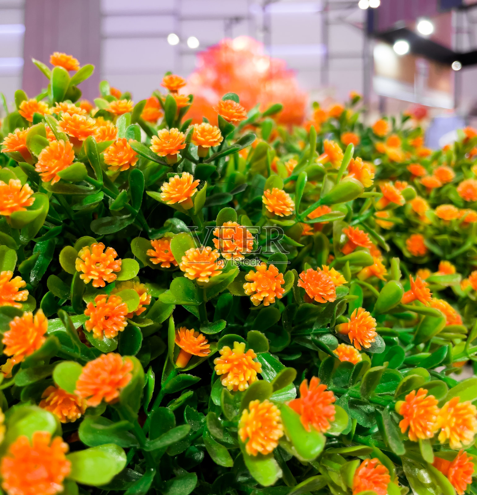 人造塑料花装饰美化家居、生日等场合。照片摄影图片