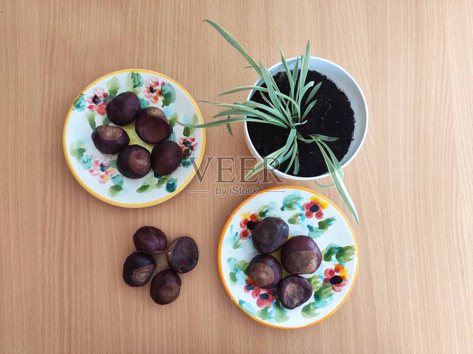 桌子上的闪亮棕色栗子照片摄影图片