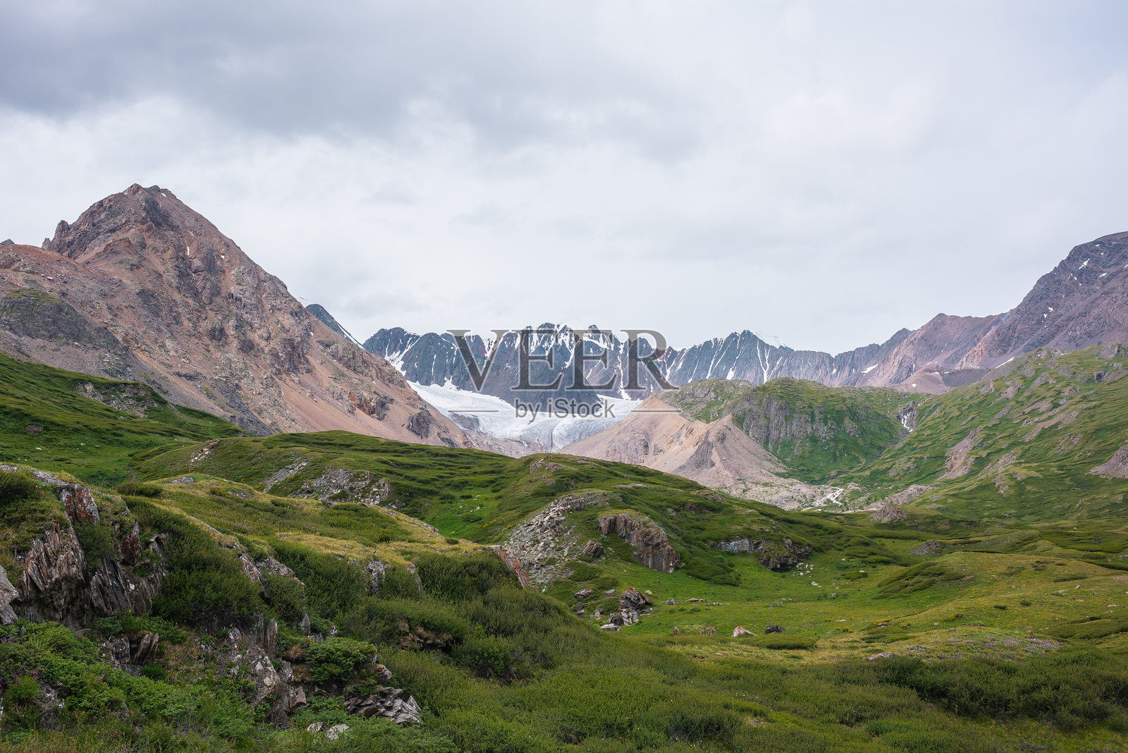 绿意盎然的阿尔卑斯山谷中,密集的灌木丛构成了美丽的风景。岩石山丘上的丰盛植物,远处可见巨大的冰川和广阔的雪山脉,笼罩在阴雨灰色的多云天空下。壮观的高山。照片摄影图片