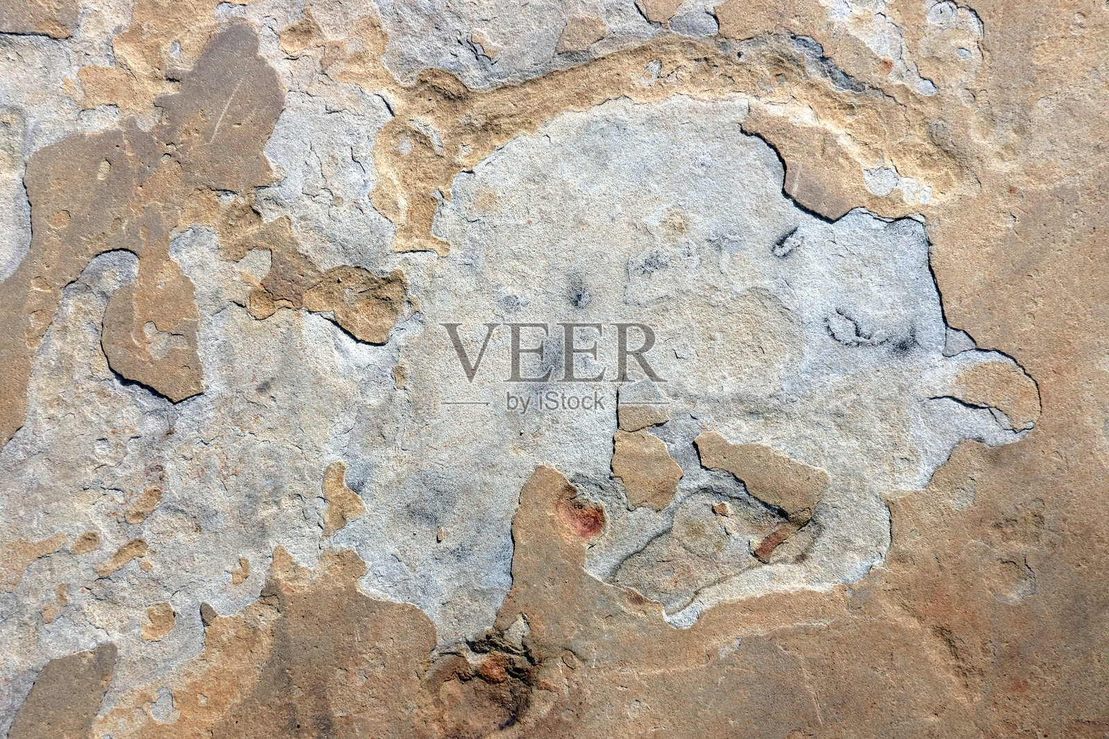 粗糙地面上的抽象形态照片摄影图片