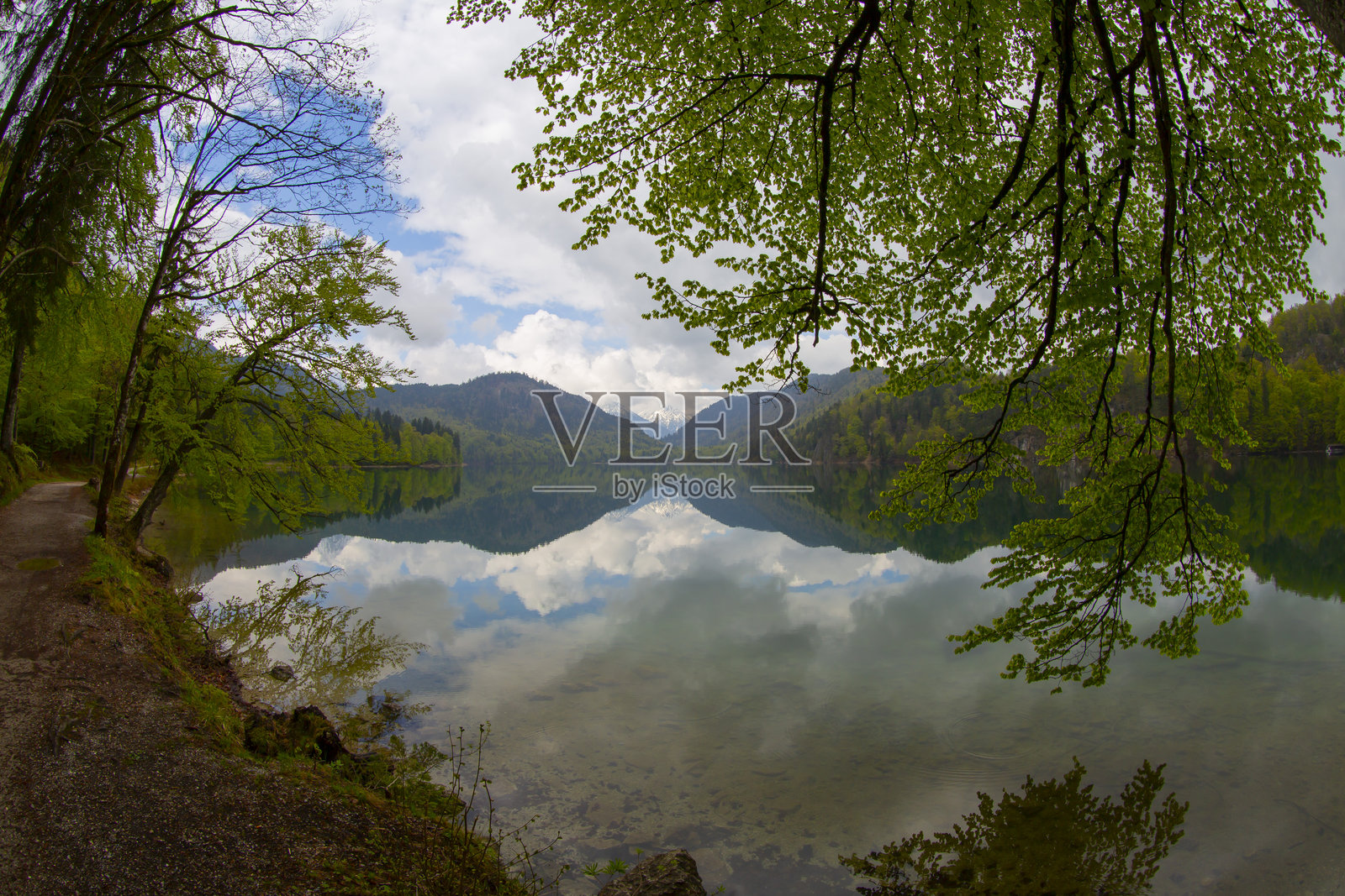 德国巴伐利亚州奥斯塔尔高地区的阿尔普湖照片摄影图片