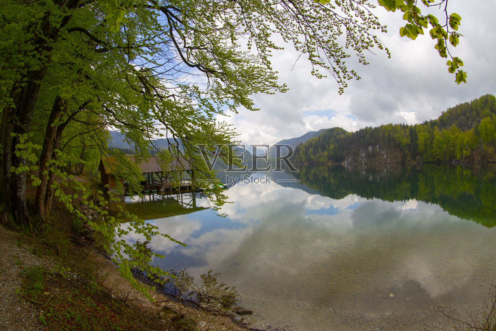 德国巴伐利亚州奥斯塔尔高地区的阿尔普湖照片摄影图片