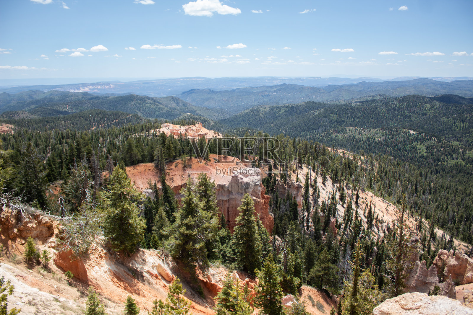 草莓点景观照片摄影图片