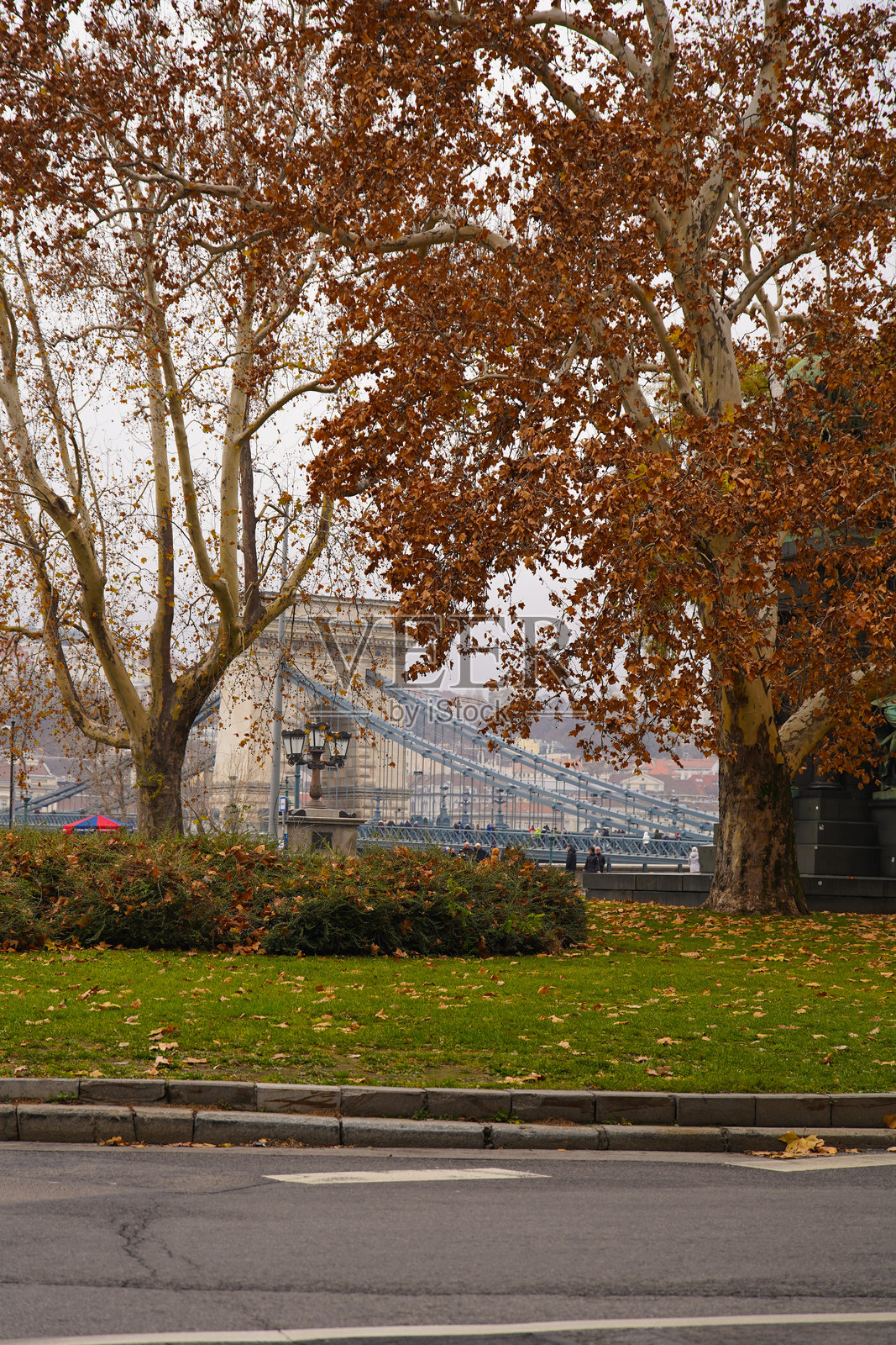桥照片摄影图片