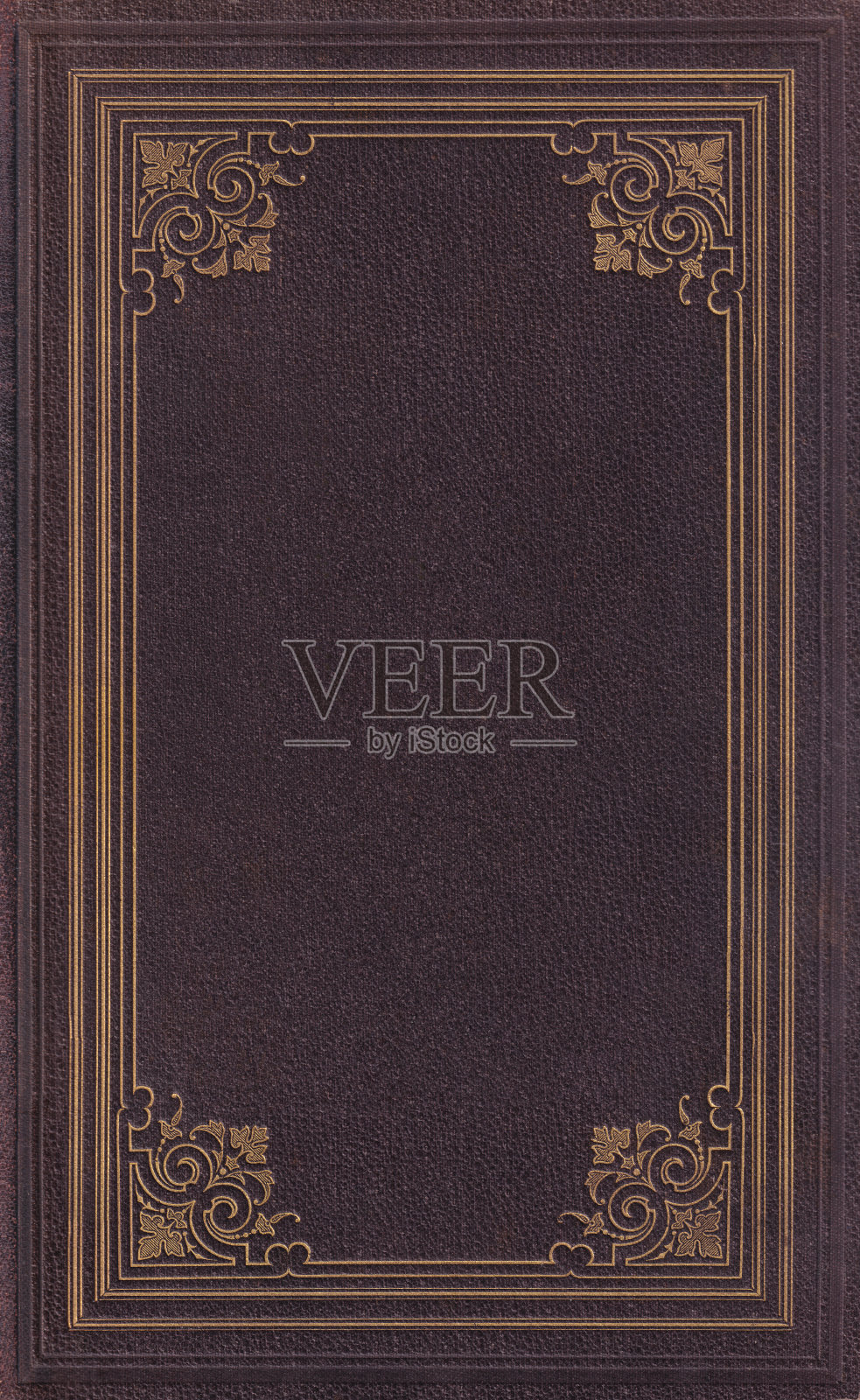 1883年出版的棕色书籍封面,带有金色边框插画图片素材