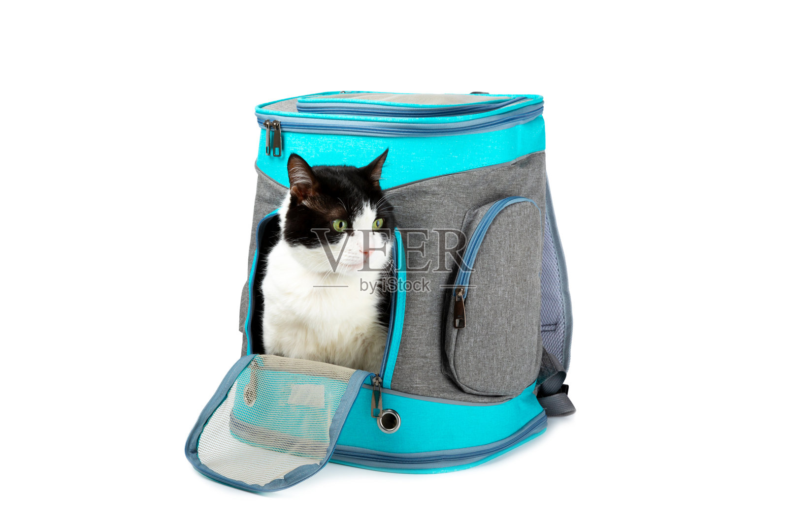 灰色墙壁背景下的猫在运输箱里。猫运输箱。搬迁或旅行。塑料旅行箱。动物护理概念。文本位置。留白。照片摄影图片