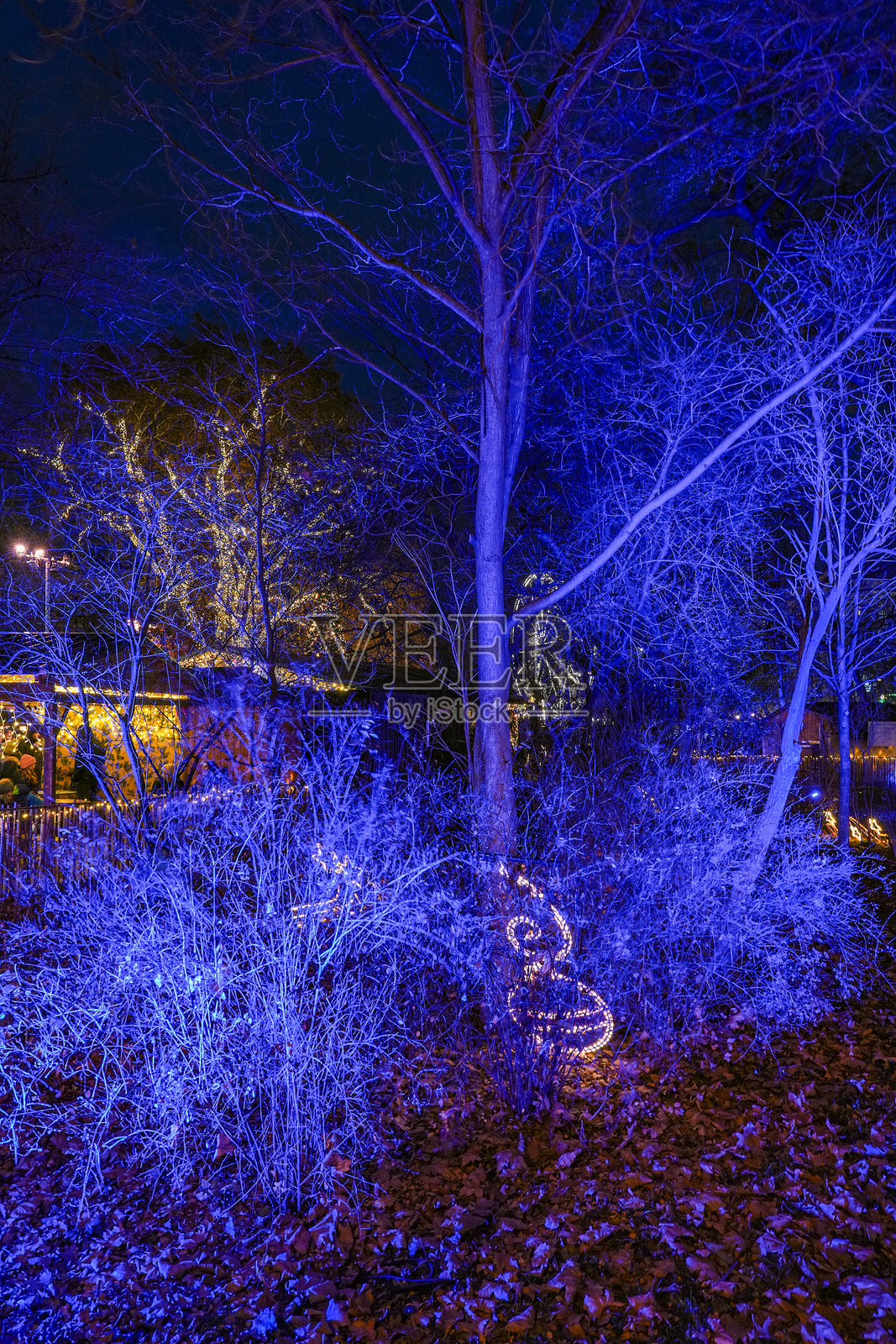 维也纳的传统圣诞装饰照片摄影图片