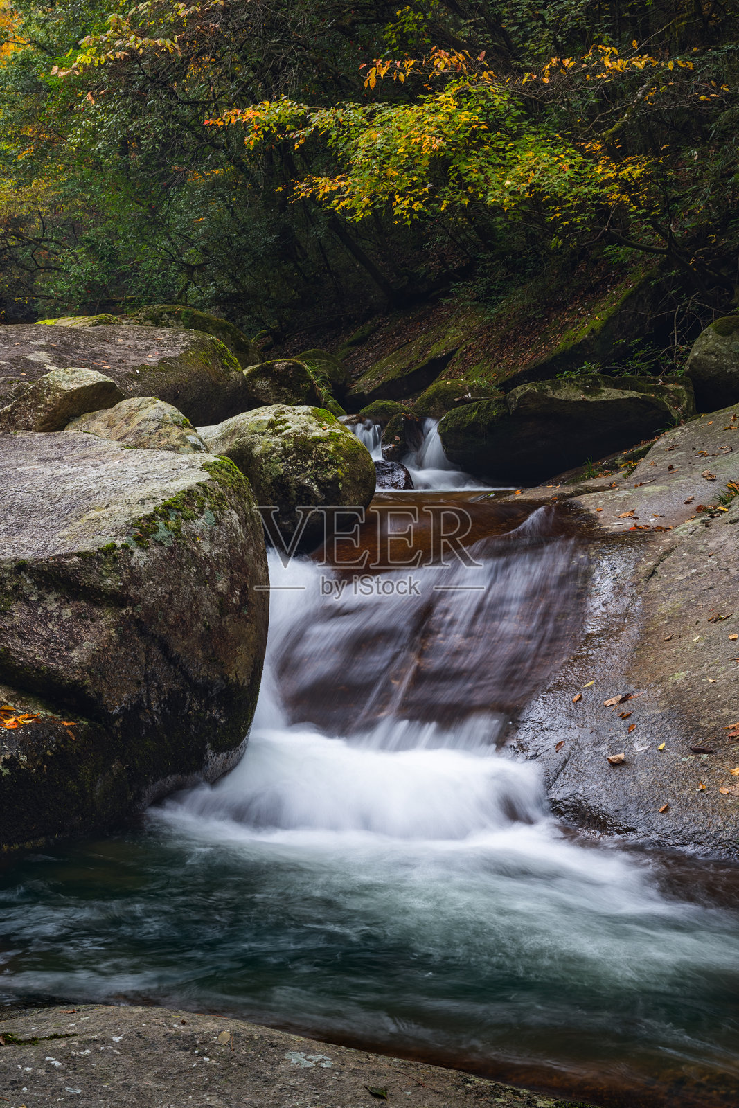 中国四川省巴中市光雾山风景区的红叶与溪流照片摄影图片