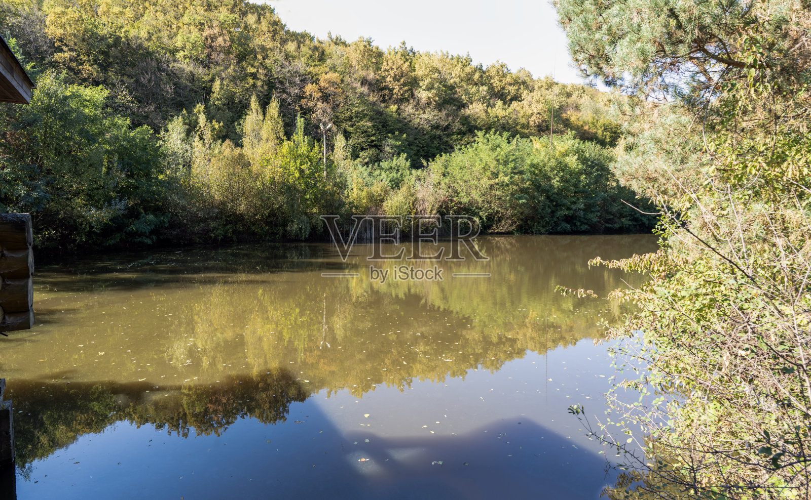湖边的森林,湖周围的秋季森林照片摄影图片
