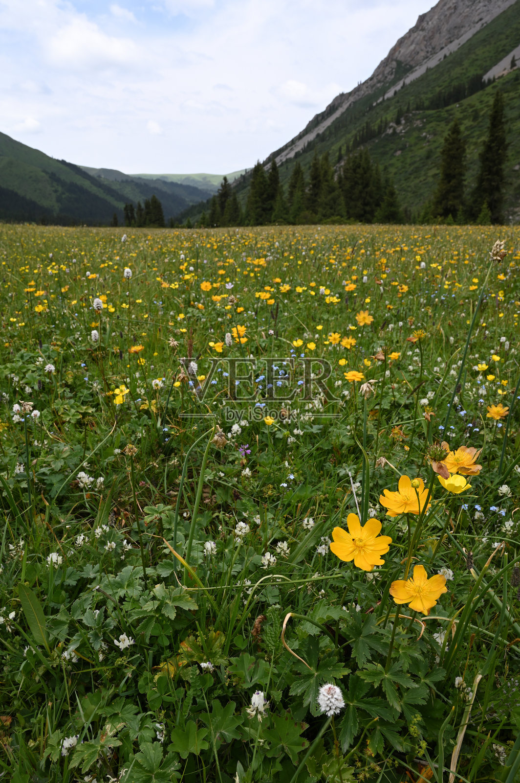 夏季多云天的山脉、草地和河流景观照片摄影图片