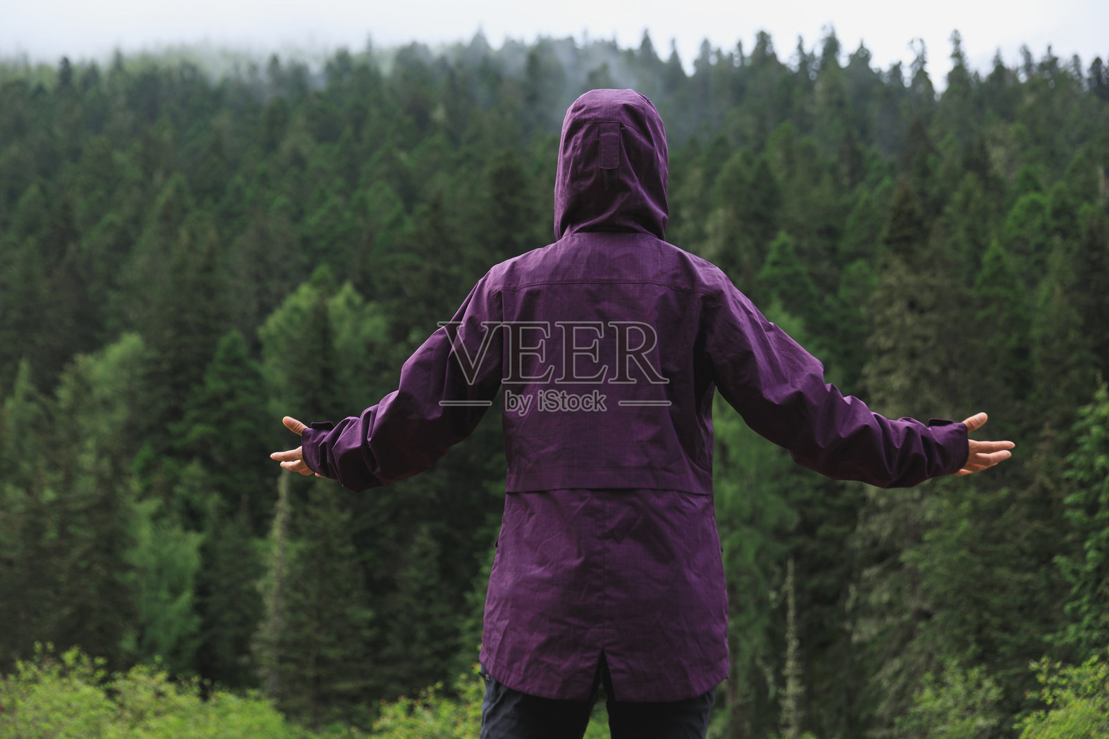 感恩的女人在夏季森林中自由自在照片摄影图片