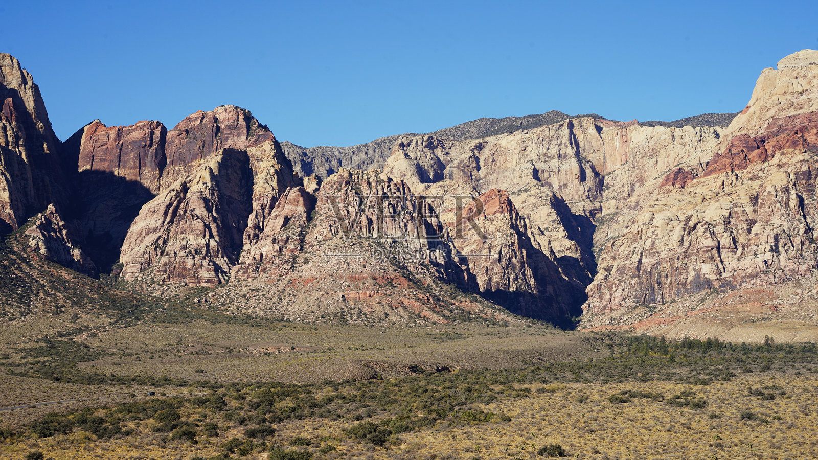 红岩峡谷中的植物、约书亚树和山脉照片摄影图片