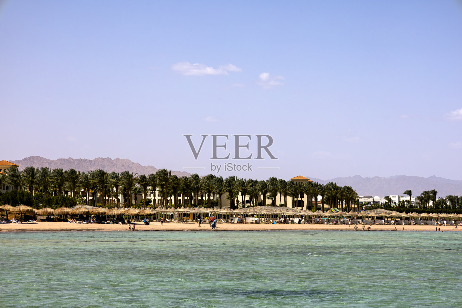 前景有水的海滩和棕榈树照片摄影图片