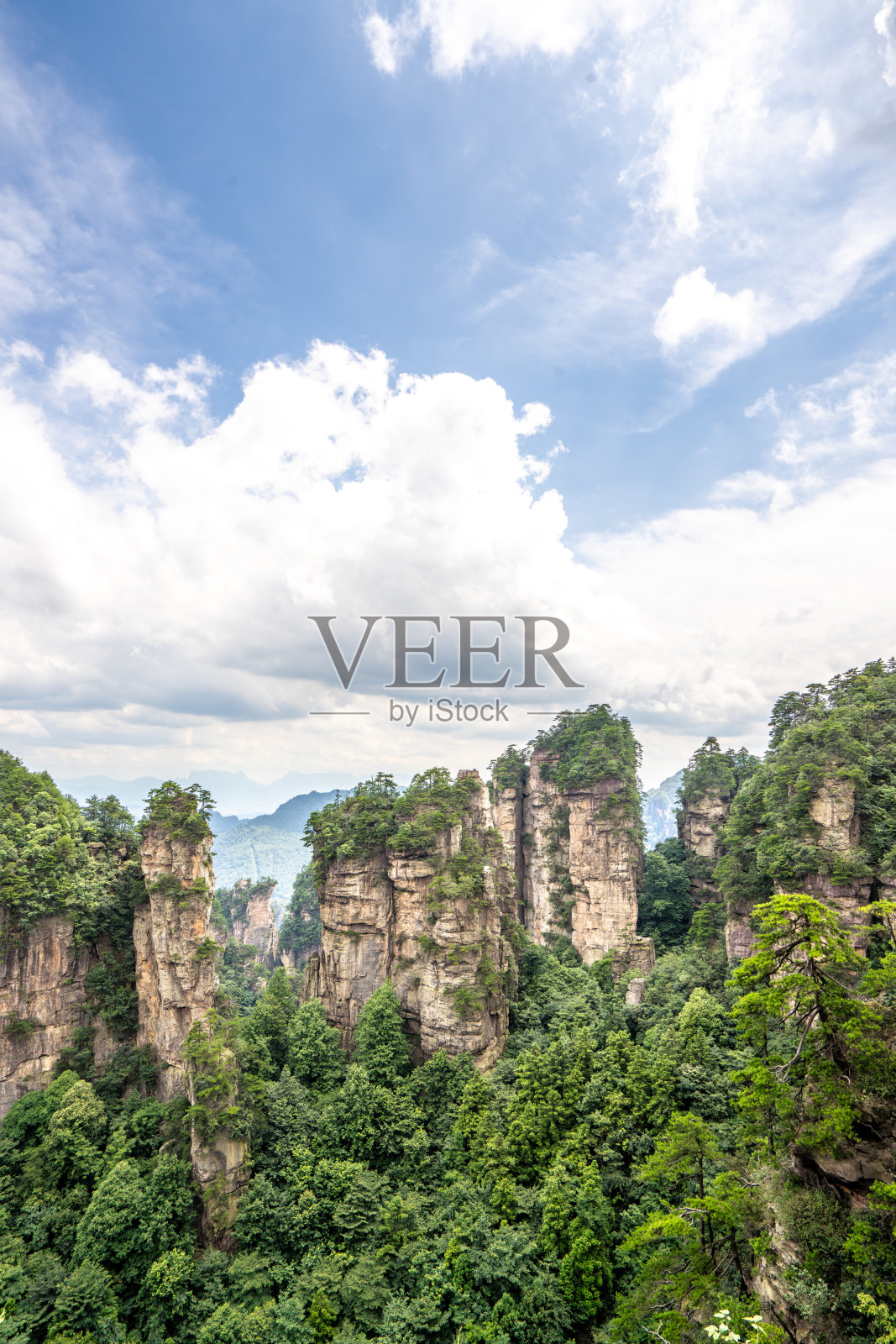 中国湖南省张家界风景区的山脉和森林照片摄影图片