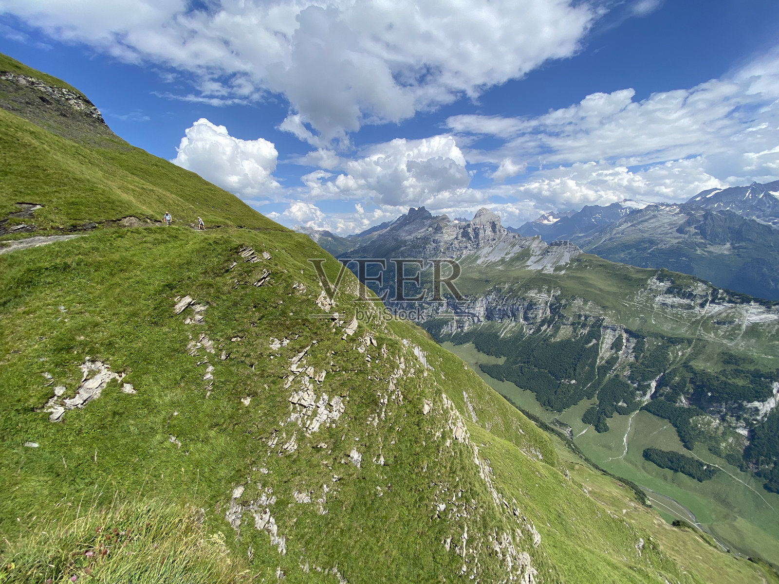 乌里阿尔卑斯山脉梅尔赫塔尔的高山草甸和牧场 - 瑞士奥布瓦尔登州照片摄影图片