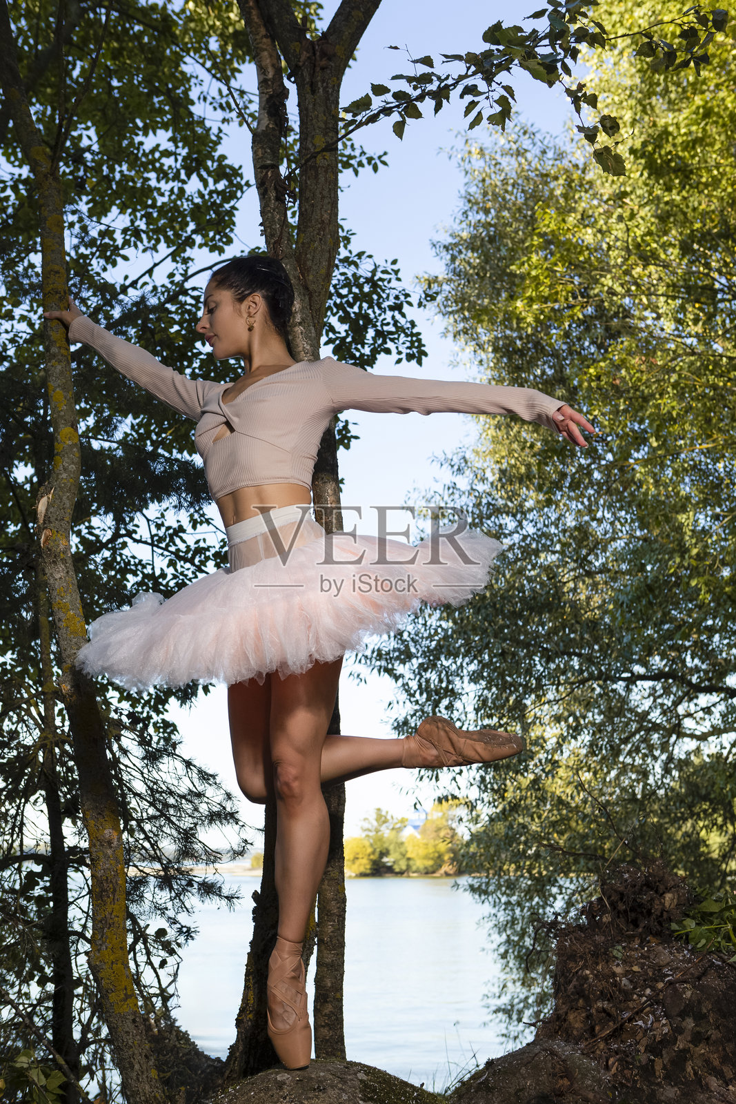 芭蕾概念。白人芭蕾舞者穿着粉色芭蕾裙,在明亮的绿色森林中摆姿势,双手高举,伸展在石头上。照片摄影图片