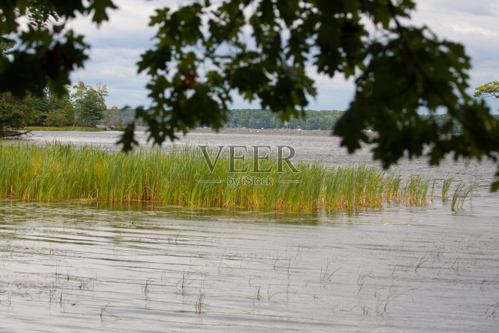 密歇根州的卢丁顿州立公园夏季景色照片摄影图片