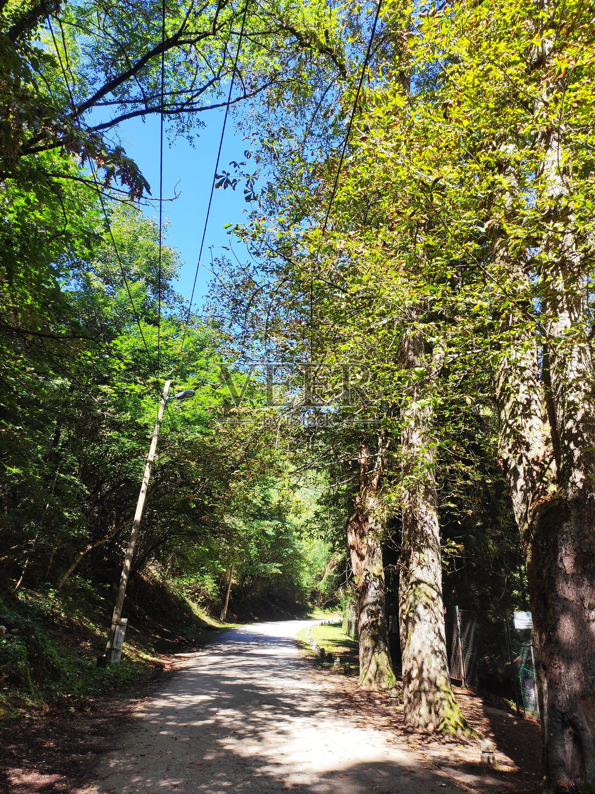美妙的自然照片摄影图片