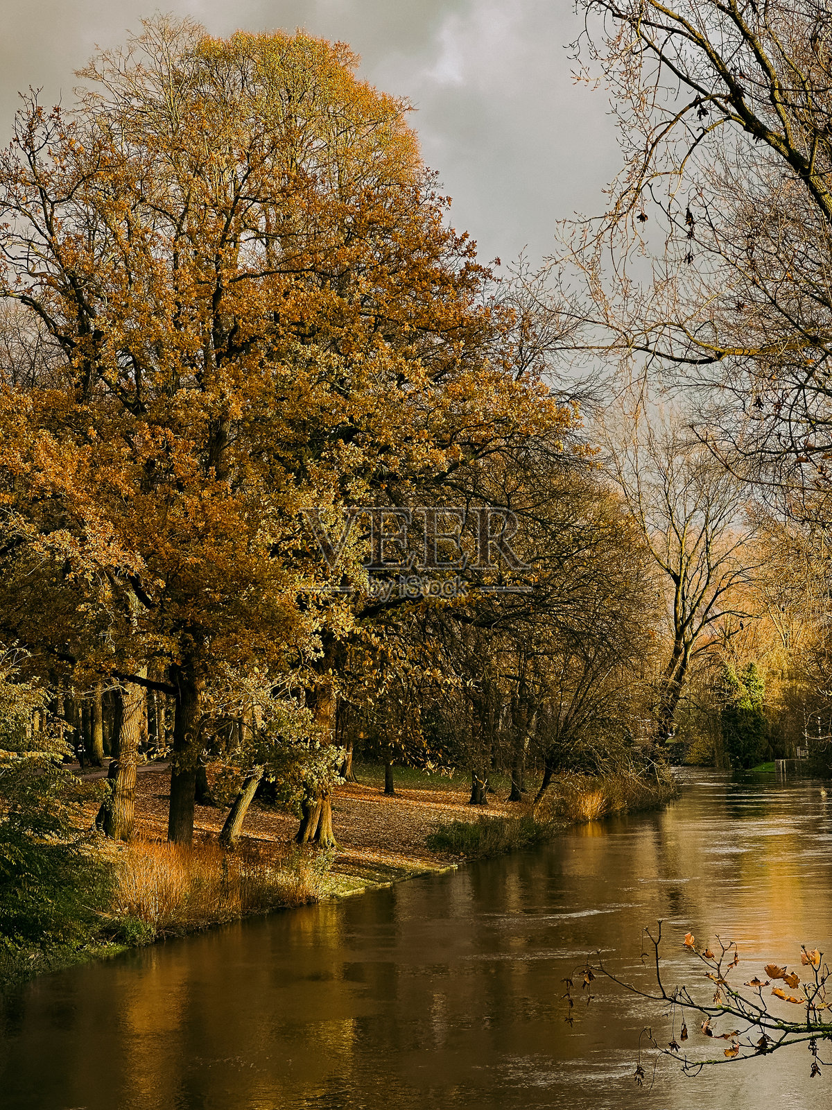 布鲁日河照片摄影图片