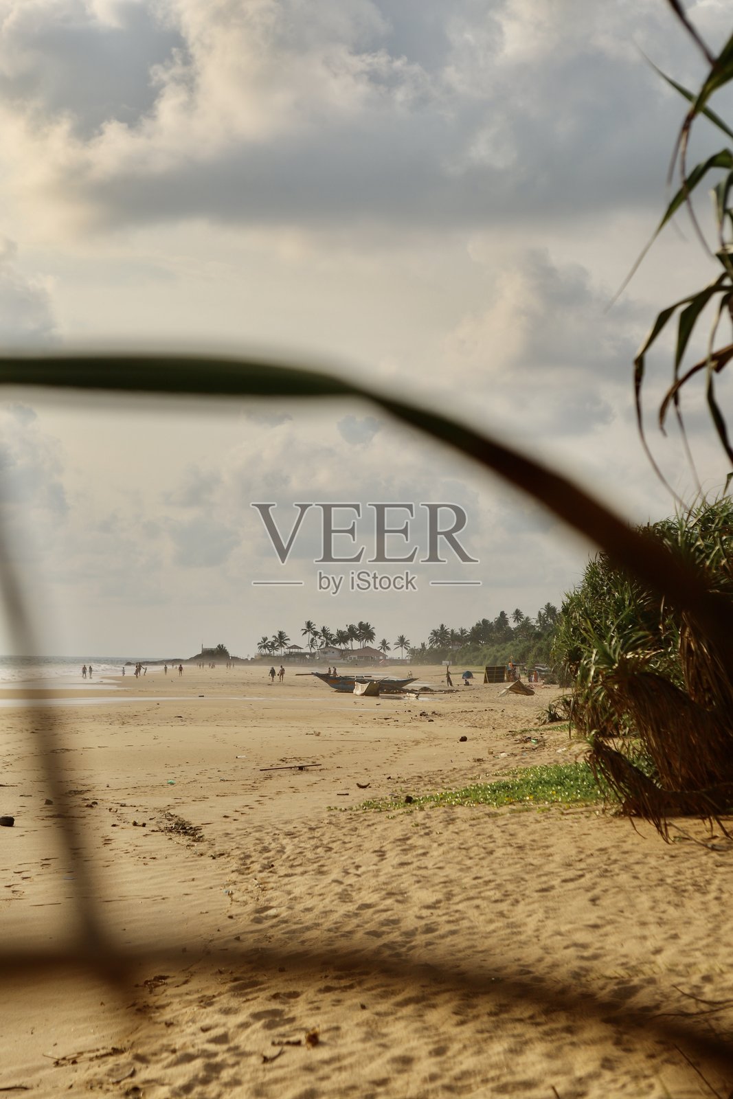 海滩照片摄影图片