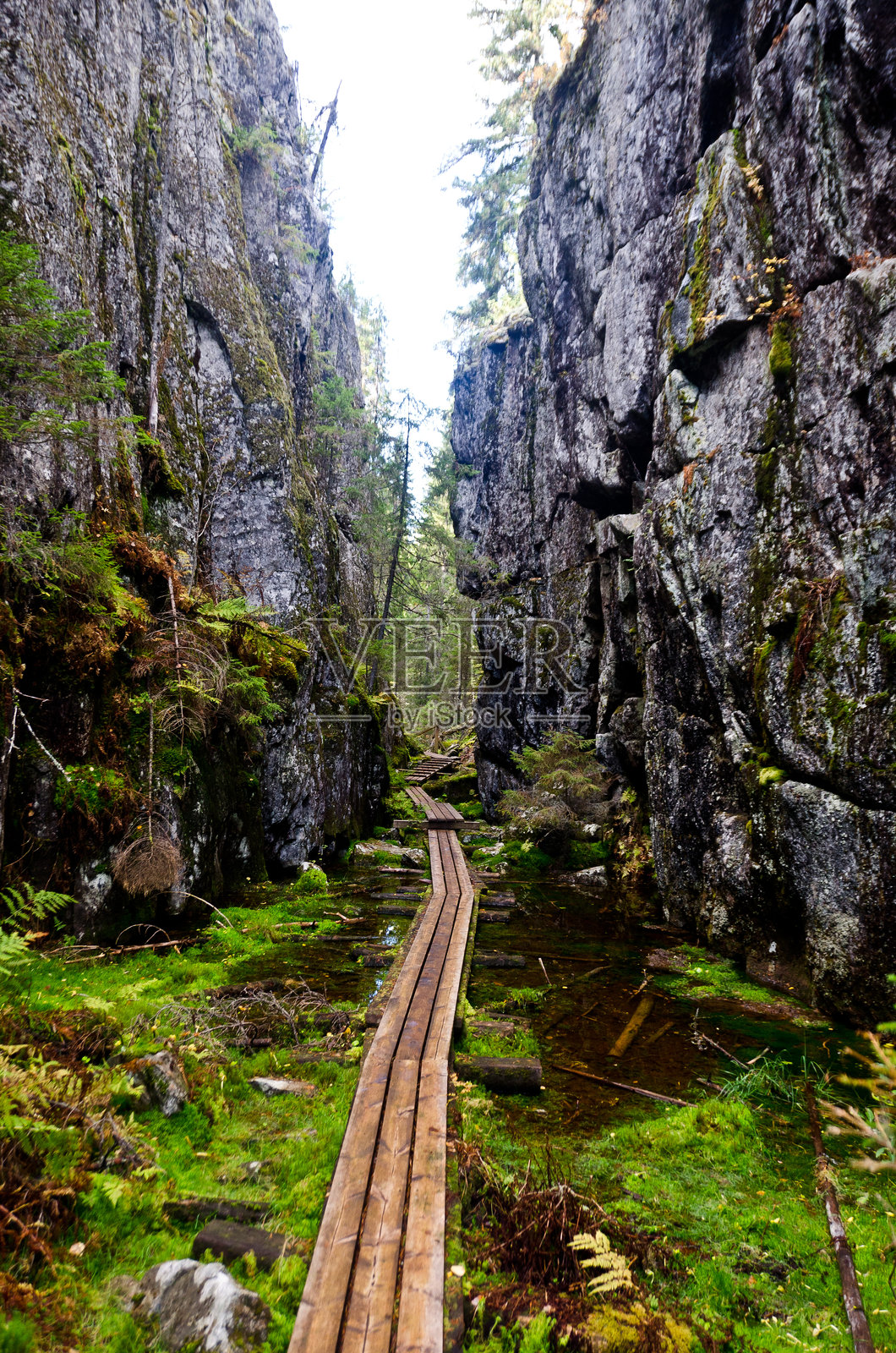 奥里诺罗峡谷,芬兰照片摄影图片