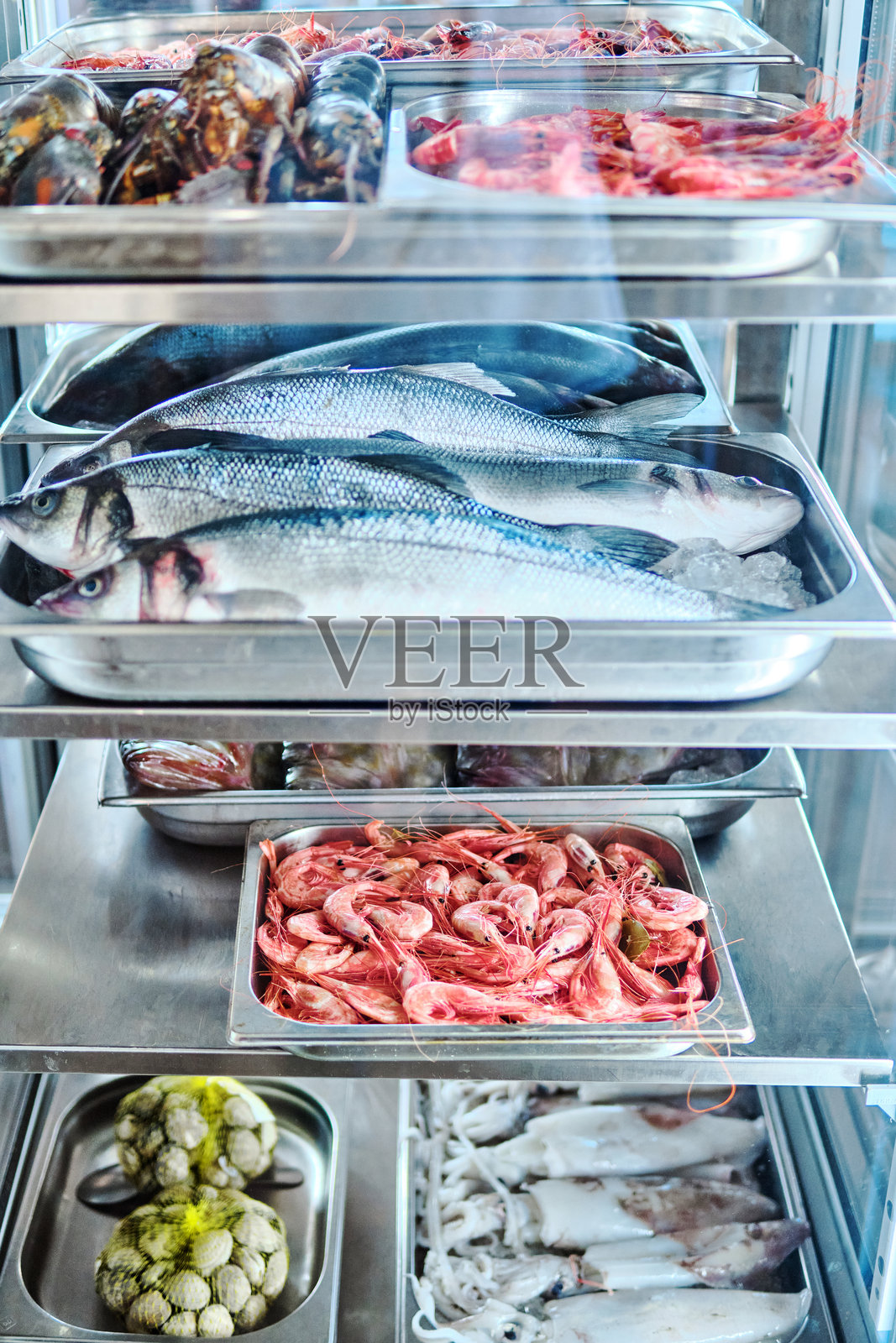 冷藏玻璃柜内展示的各种海鲜照片摄影图片