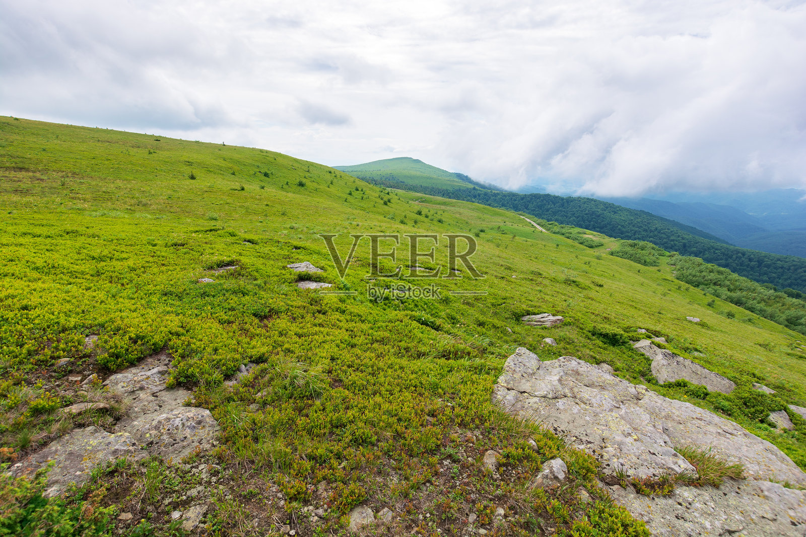 夏季的阿尔卑斯山景观,阴 cloudy 的天气照片摄影图片
