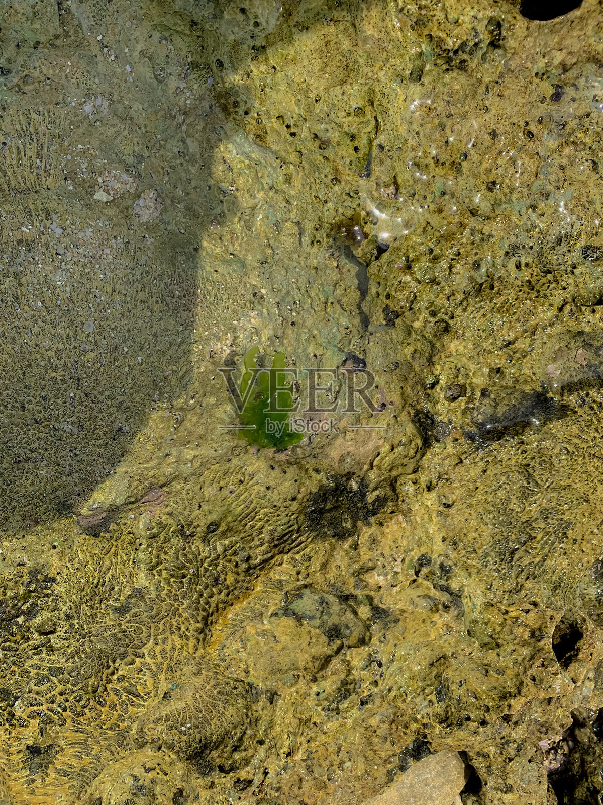 宁静的海滩场景,平静的碧绿色海水轻轻拍打着沙滩。照片摄影图片