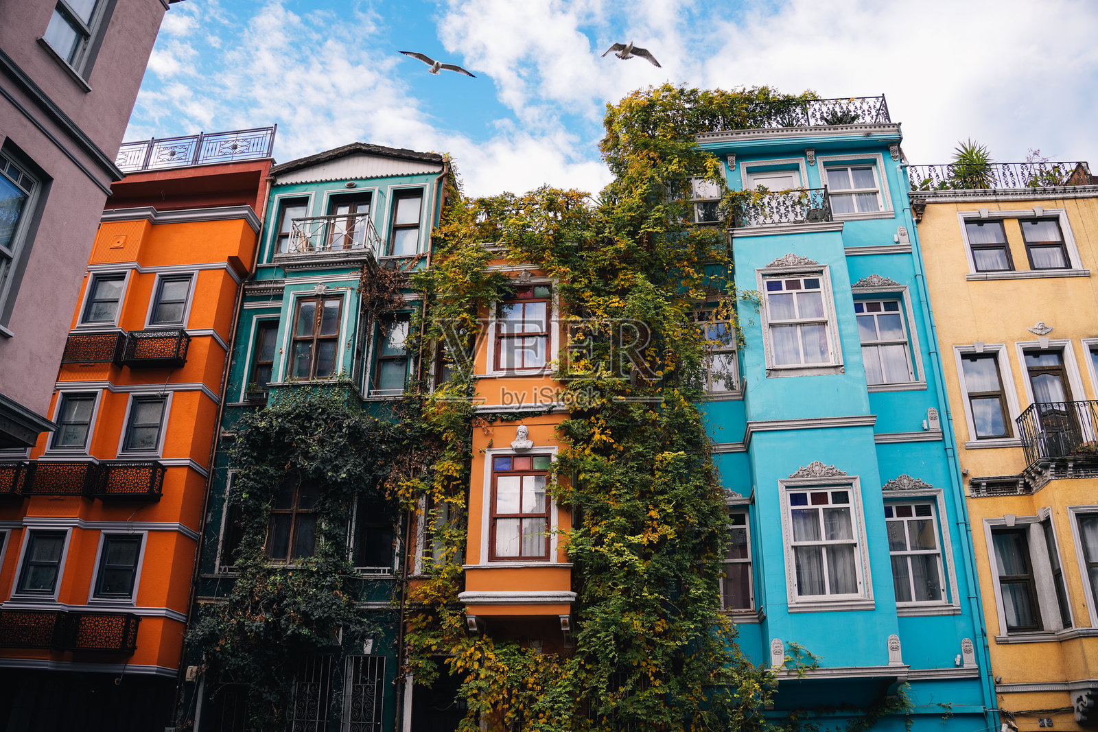 伊斯坦布尔巴拉特的五彩斑斓的建筑上空飞翔着海鸥照片摄影图片