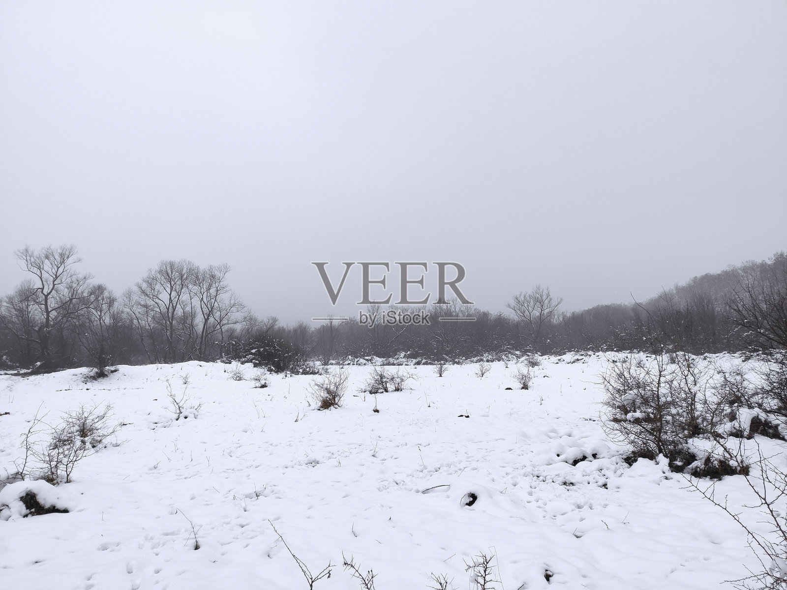 伊利贾的眼睛 - 冬季照片摄影图片