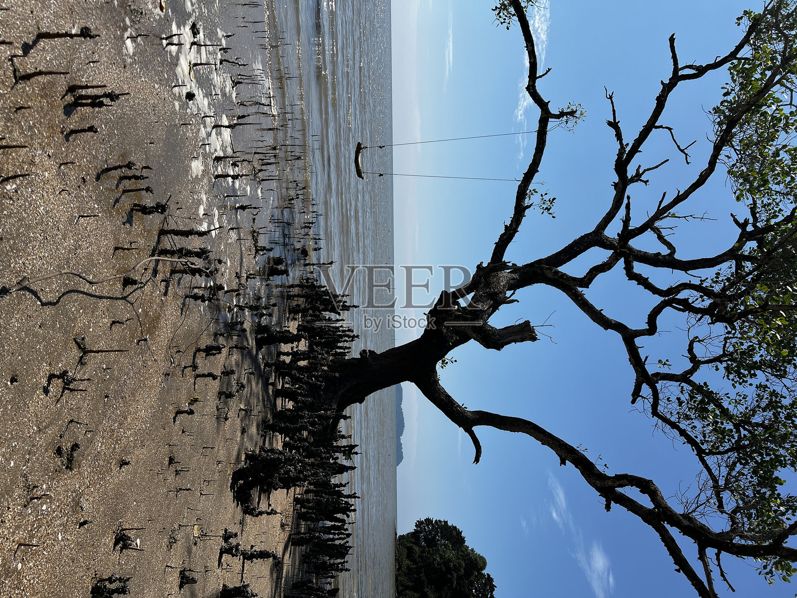 在阳光下融化的心。照片摄影图片