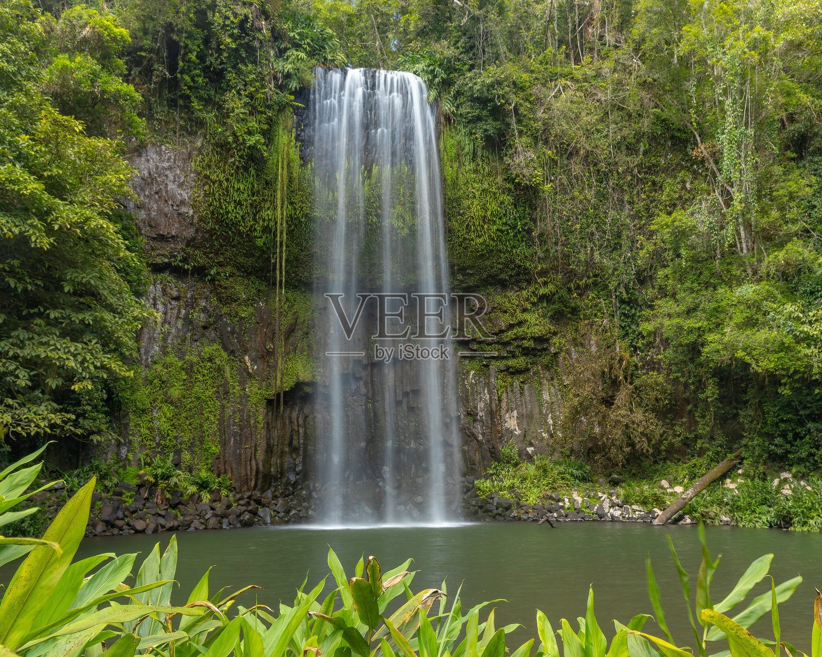 昆士兰北部阿瑟顿高原的米拉米拉瀑布正面景观照片摄影图片