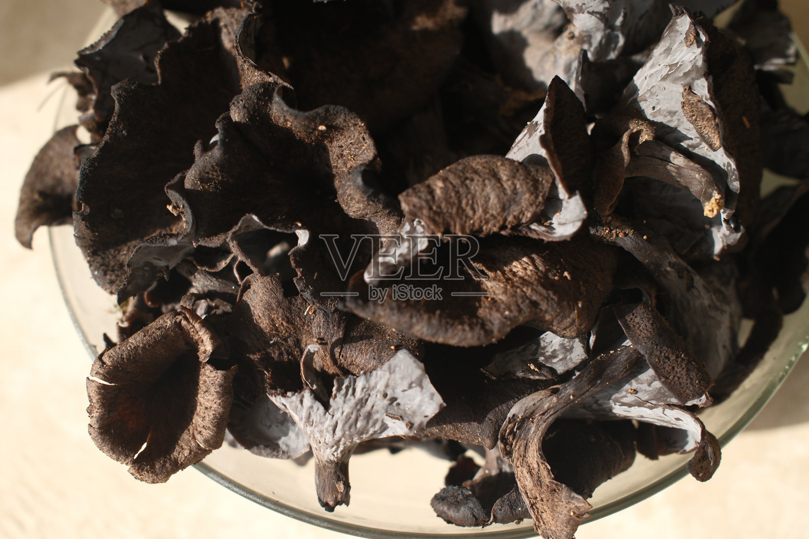 自然森林中的蘑菇如同秋天的果实照片摄影图片