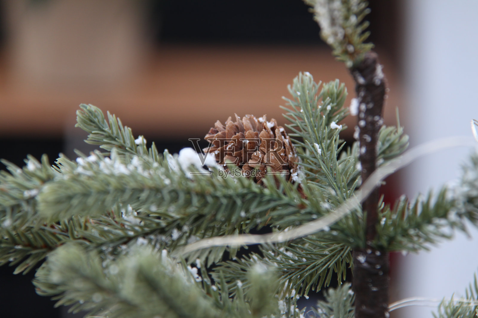 雪-covered树枝照片摄影图片