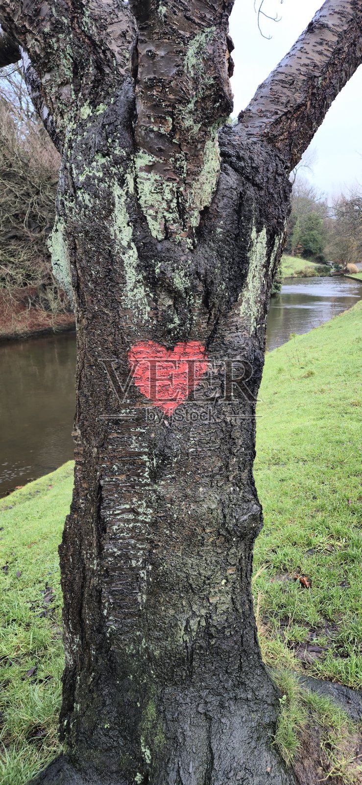 热爱自然照片摄影图片