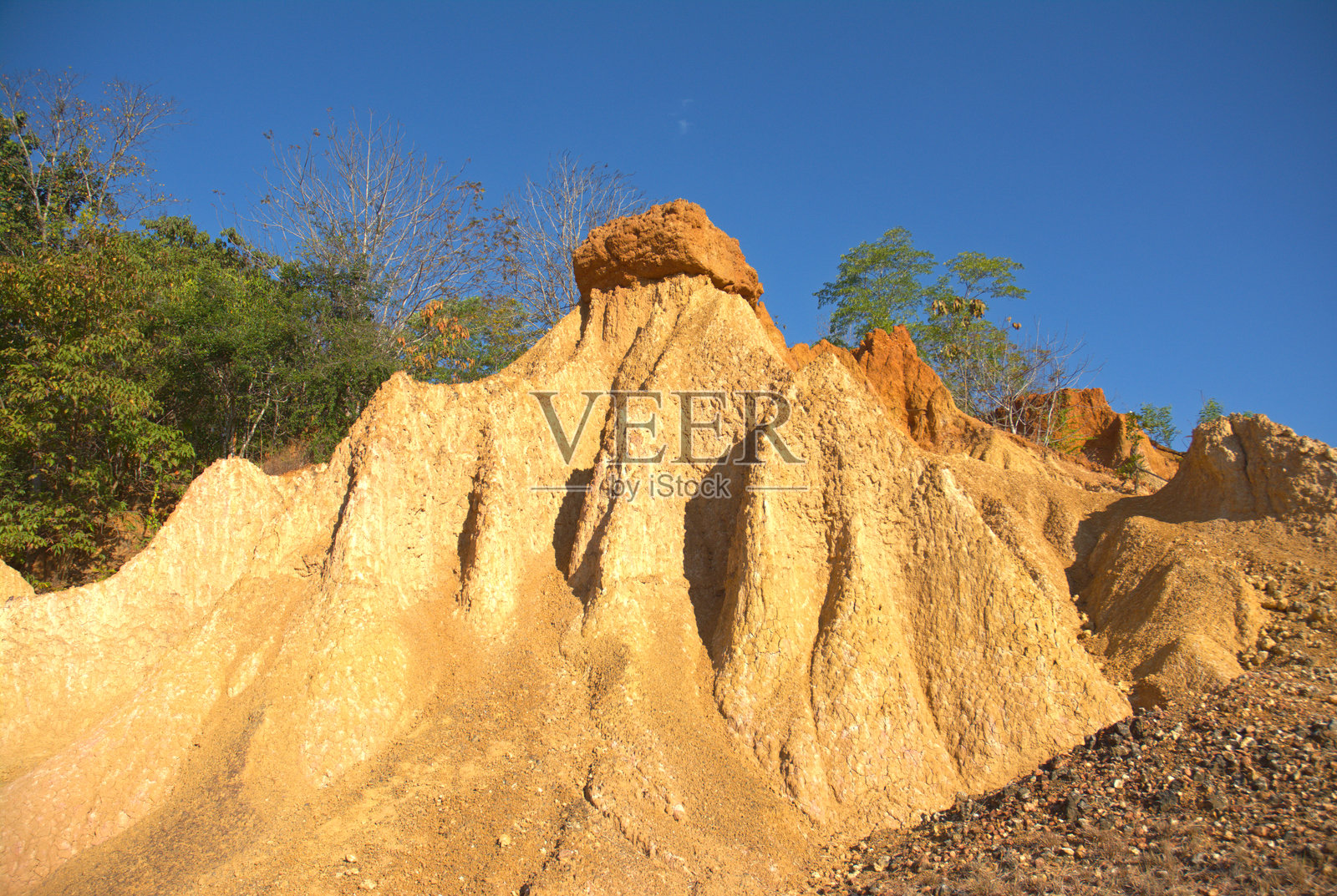 土壤沉降已经持续了数千年。这是一个美丽的自然景观,也是学习和生态旅游的好地方。照片摄影图片