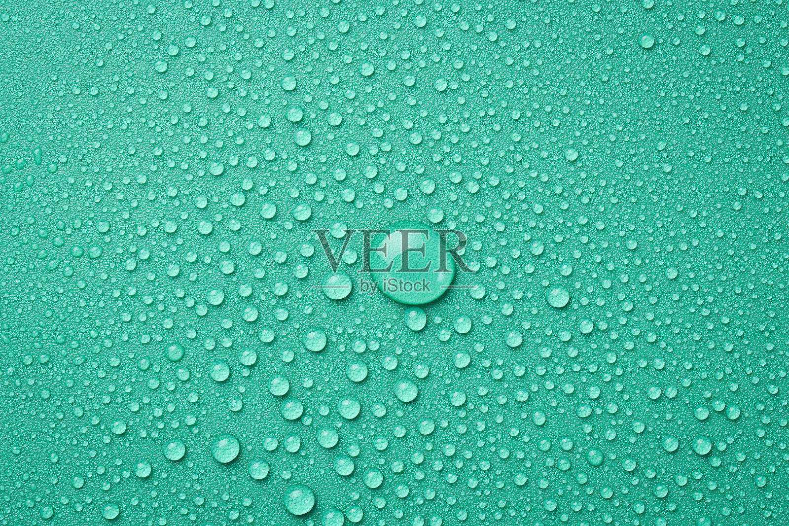 绿色背景上的水滴特写。微距照片。俯视图。照片摄影图片